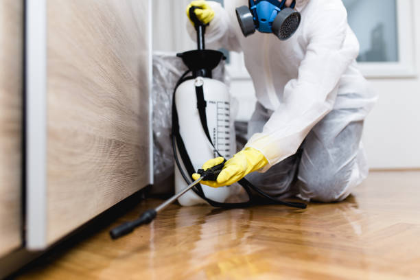 Best Residential Pest Control  in Knightdale, NC