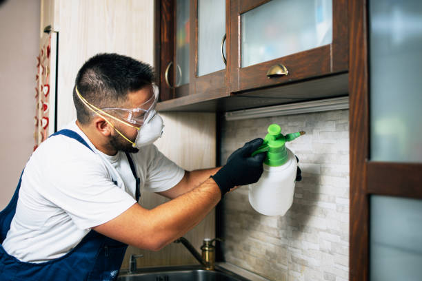 Best Pest Removal Services  in Knightdale, NC