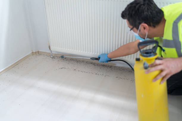 Best Termite Control Services  in Knightdale, NC